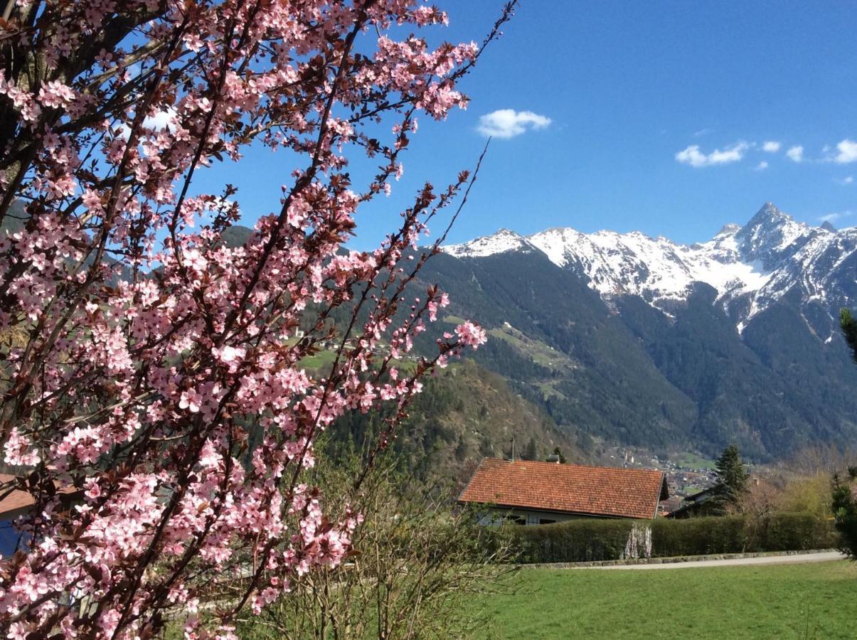 Double Room With A Kitchenette And Private Bathroom In A Beautiful Surrounding Sautens Exterior photo